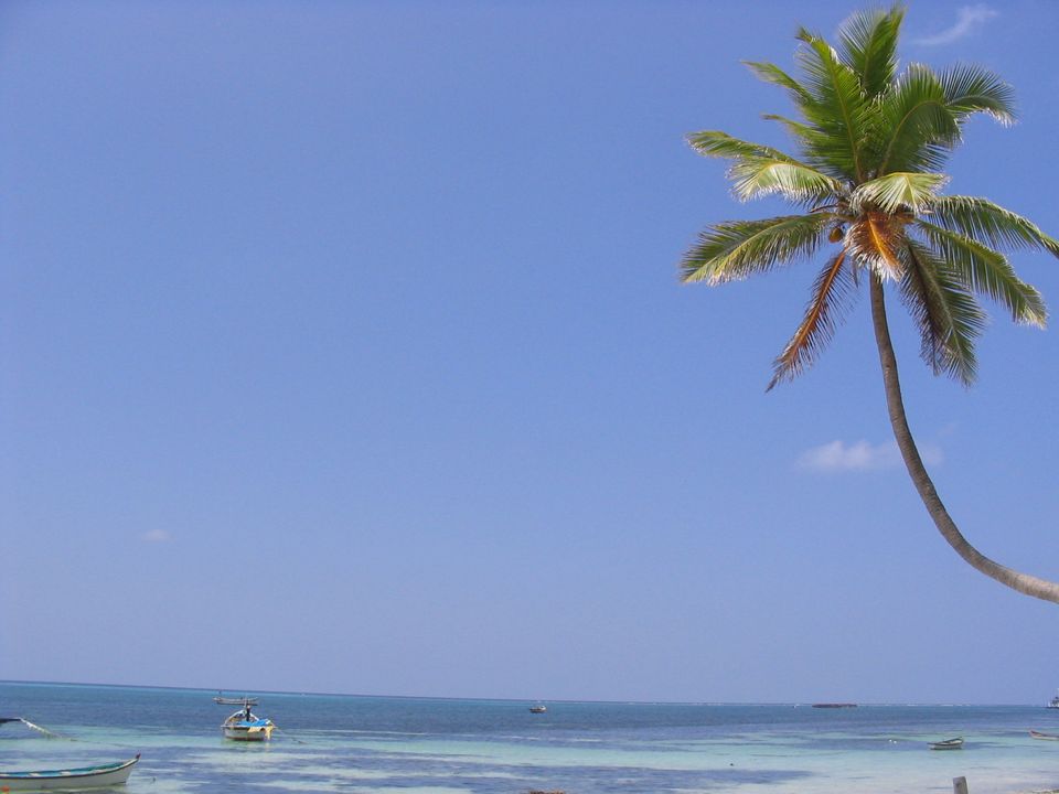 WEDDING IN LAKSHADWEEP